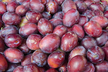 Fresh ripe red plums as a background