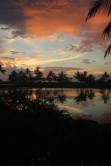 Obraz premium This a images silhouettes of coconut trees in a beautiful sunset