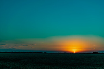 Beautiful evening sunset over a field of Golden ears of wheat and barley. Yellow is the rich color of the Sunny sky and wide spacious meadows with crops