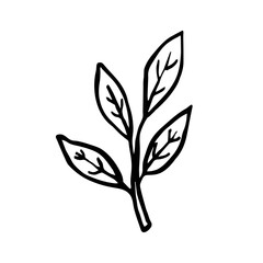 Herbs. Ink plant. Black color. Vector illustration isolated on white background. Little leaf, branch. Magic, medical ingredient, stuff.