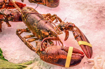 Sea food in Boqueria market