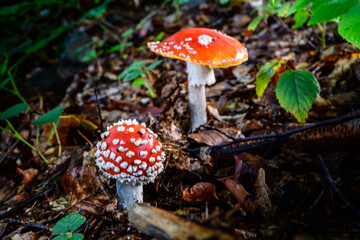 Bieszczady latem © ŁukaszOBX