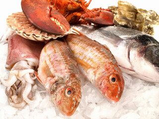 Fresh Seafood and Fish on white Background - Isolated