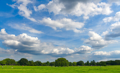 Fototapeta premium HDR natural landscape background of green glass field, tree and vivid cloudy blue sky. Concept of summer vacation, outdoors activities, recreation, relax and outing. 