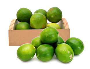 Citrus lime fruit isolated on white background cutout 