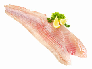 Catfish Fish Fillet on white Background - Isolated