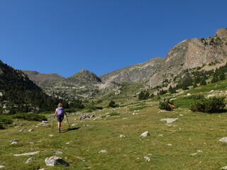 Naklejka na ściany i meble Jeune femme randonneur qui marche en montagne dans la vallée de l'Orri dans les Pyrénées Orientales en pays catalan en Languedoc