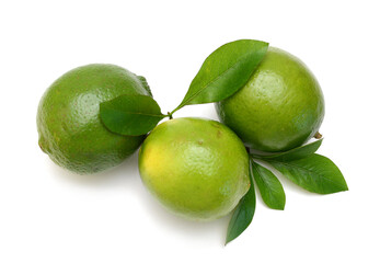 Citrus lime fruit isolated on white background cutout 