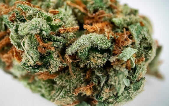 Close up macro shot of a heap medical marijuana bud on white background