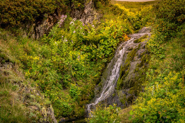 Fototapeta na wymiar mountain stream in the caucasus mountains