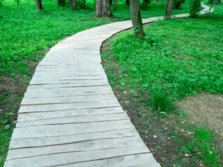 A path made of planks in the forest. A winding wooden path through trees and grass.