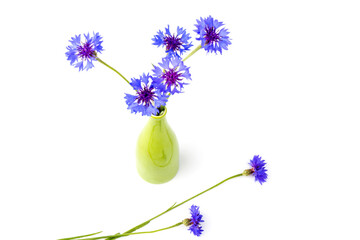 Blue cornflowers, summer flowers on white background, floral background, beautiful small cornflowers close up