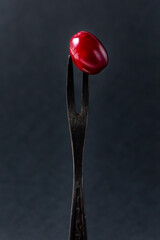 Dogwood on a black background. One red and ripe dogwood on a silver fork. Gathering the summer harvest.