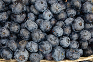 Heidelbeeren