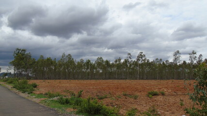 Obraz premium landscape with clouds