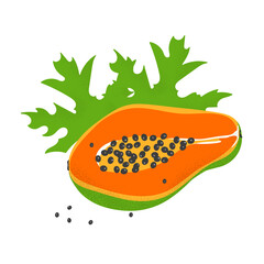 Isolated slice orange papaya with leaves