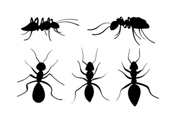 Hand drawn ants collection. Black insects silhouettes. Vector illustration.