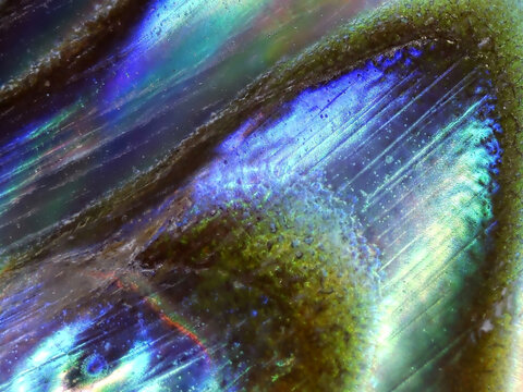 titusgraphy abstract purple