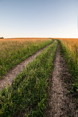 Obraz premium Dirt road in the field