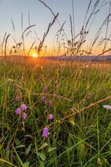 Sunset over the field