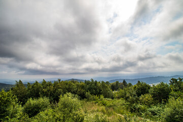 Fototapeta na wymiar Clouds over the forest
