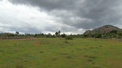 Obraz premium landscape with mountains