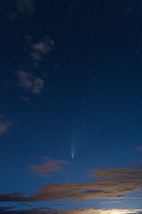 Obraz na płótnie Canvas Comet NEOWISE C/2020 F3 in the night sky 