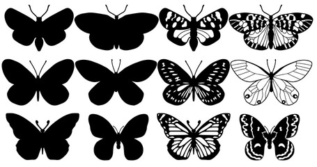 Butterflies carve, shadow and line set, Vector illustration.