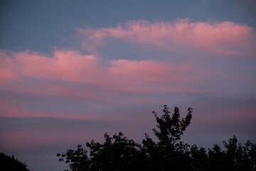 Moody sunset with foliage and blue/purple sky