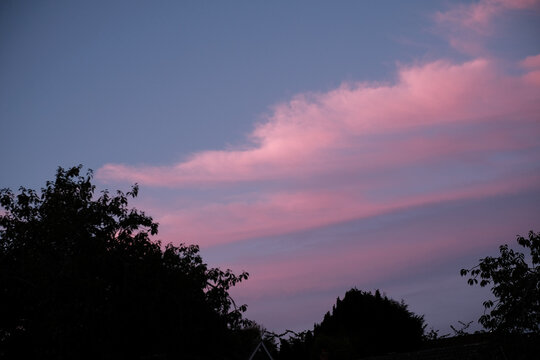 Moody Sunset With Foliage And Blue/purple Sky