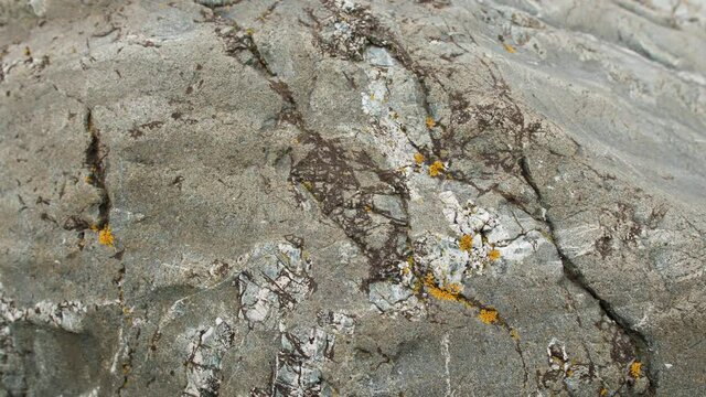 Raw cracked gray stone texture