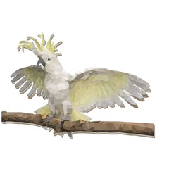 Tufted cockatoo. © Ольга Бирюкова