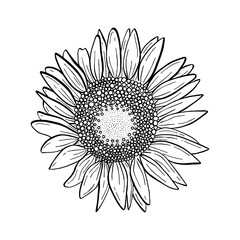 Doodle black line blooming sunflower. A silhouette use for cricut, cut file, clipart. Digital or printable sticker. Vector illustration for decorate logo, tattoo, card or any design.