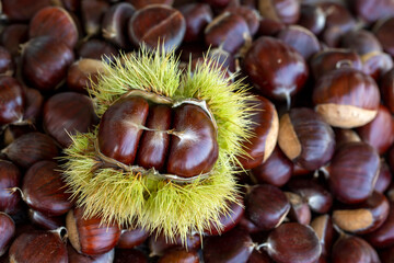 Chestnuts on a wooden background. Chestnuts top view. Chestnut autumn background.