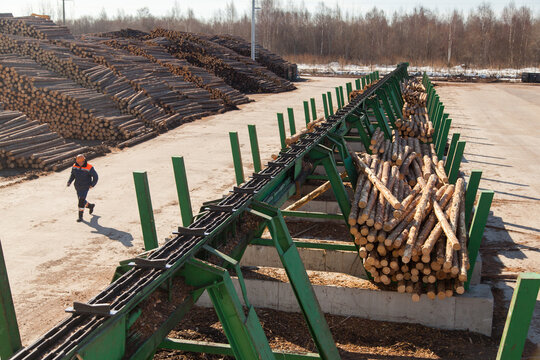 Conveyor for sorting logs at a sawmill
