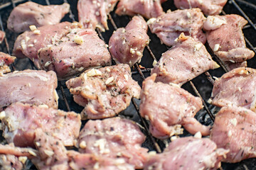 Grilling pig meat and sausages for a campfire party.