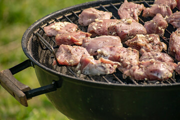 Grilling pig meat and sausages for a campfire party.