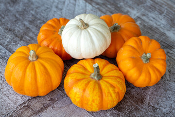 Small pumpkins on the wooden background