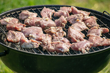 Grilling pig meat and sausages for a campfire party.