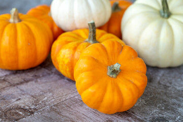 Small pumpkins on the wooden background