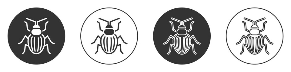 Black Chafer beetle icon isolated on white background. Circle button. Vector.