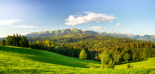 Fototapeta na wymiar Przełęcz nad Łapszanką Panorama Tatr 