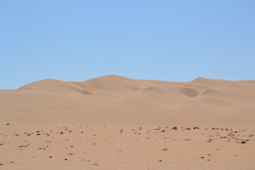 Rote Sandwüste 