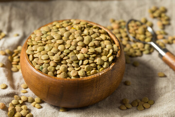 Dry Green Organic Lentils