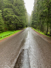 The road to Morskie Oko in the Tatra National Park