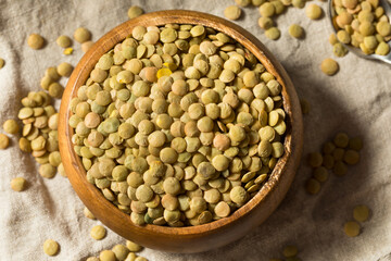 Dry Green Organic Lentils