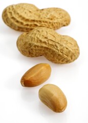 Peanuts, arachis hypogaea, Fruits against White Background