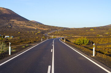 Typical volcanic vineyards in Lanzarote Island, Spain