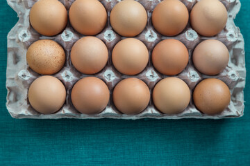 turquoise photo egg tray, studio