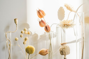 Still life with dried flowers.